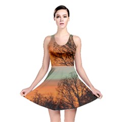 Twilight Sunset Sky Evening Clouds Reversible Skater Dress by Amaryn4rt