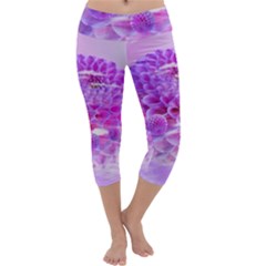 Dahlia Blossom Bloom Dahlias Fall Capri Yoga Leggings by danenraven