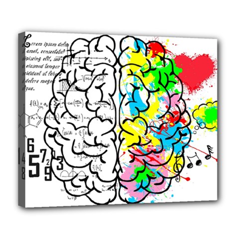 Brain Left Logic Language Science Deluxe Canvas 24  X 20  (stretched) by pakminggu