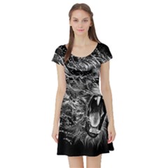 Lion Furious Abstract Desing Furious Short Sleeve Skater Dress by Mog4mog4