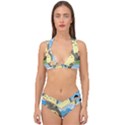 My Neighbor Totoro Totoro Double Strap Halter Bikini Set View1