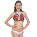 Red Strawberries Water Squirt Strawberry Fresh Splash Drops Cross Front Halter Bikini Top View1