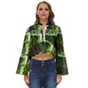 Drink Spinach Smooth Apple Ginger Boho Long Bell Sleeve Top View1