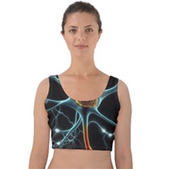 Organism Neon Science Velvet Crop Top by Ndabl3x