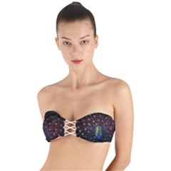 Peacock Feathers Twist Bandeau Bikini Top by Wav3s