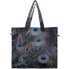 Peacock Feathers Peacock Bird Feathers Canvas Travel Bag by Ndabl3x