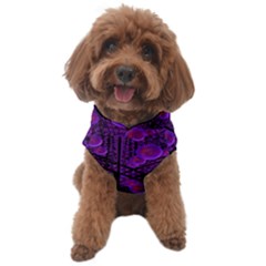 Spheres Combs Structure-regulation Dog Sweater by Simbadda