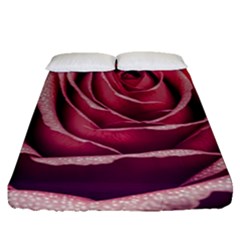 Beautiful Beauty Flower Bloom Fitted Sheet (queen Size) by Vaneshop