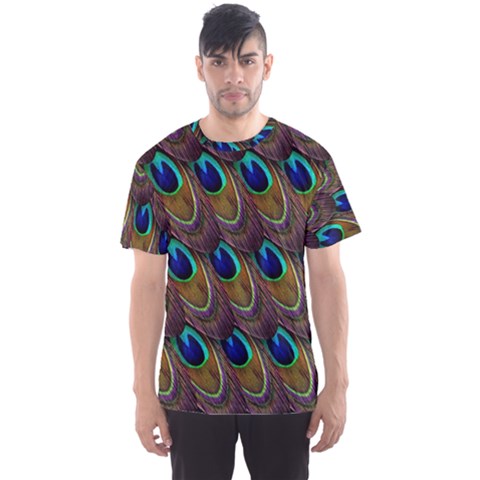 Peacock-feathers-bird-plumage Men s Sport Mesh Tee by Ravend