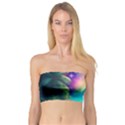 Jungle Moon Light Plants Space Bandeau Top View1