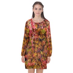 Red And Yellow Ivy  Long Sleeve Chiffon Shift Dress  by okhismakingart