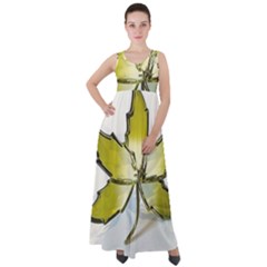 Life Is Beautiful And Green Empire Waist Velour Maxi Dress by Humidesigner786