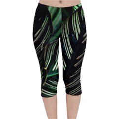 Calathea Leaves Strippe Line Velvet Capri Leggings  by Ravend