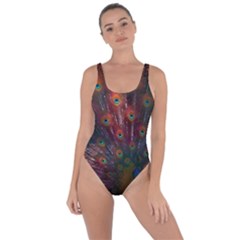 Peacock Feather Bird Bring Sexy Back Swimsuit by Bedest