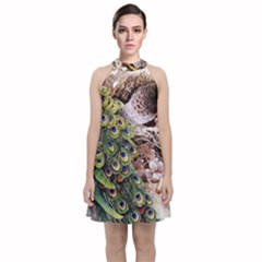 Japanese Painting Flower Peacock Velvet Halter Neckline Dress  by Bedest