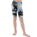 Canvas Oil Painting Two Peacock Kids  Mid Length Swim Shorts View1