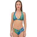 Rainbow Double Strap Halter Bikini Set View1