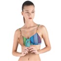 Rainbow Tie Up Cut Bikini Top View1