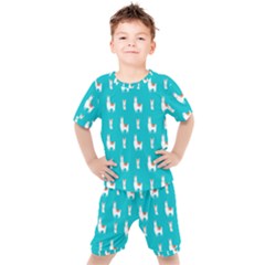 Lama Alpaca Animal Pattern Design Kids  T-shirt And Shorts Set by Pakjumat