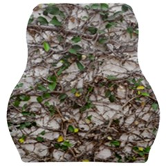 Climbing Plant At Outdoor Wall Car Seat Velour Cushion  by dflcprintsclothing