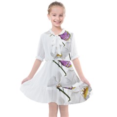 Butterfly Art T- Shirtbutterfly T- Shirt (2) Kids  All Frills Chiffon Dress by JamesGoode