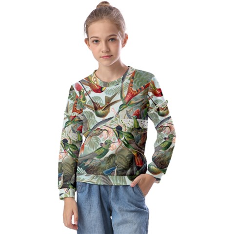 Humming Birds Trochilidae Kids  Long Sleeve T-shirt With Frill  by Pakjumat