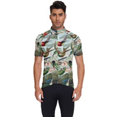 Humming Birds Trochilidae Men s Short Sleeve Cycling Jersey by Pakjumat