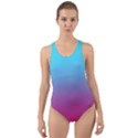 Blue Pink Purple Cut-Out Back One Piece Swimsuit View1