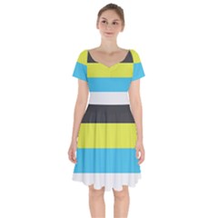 Bigender Flag Copy Short Sleeve Bardot Dress by Dutashop