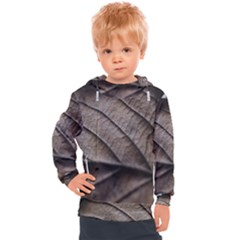 Leaf Veins Nerves Macro Closeup Kids  Hooded Pullover by Amaryn4rt