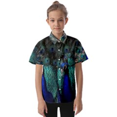 Blue And Green Peacock Kids  Short Sleeve Shirt by Sarkoni