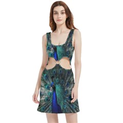 Blue And Green Peacock Velour Cutout Dress by Sarkoni