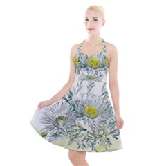 Thistle Alpine Flower Flower Plant Halter Party Swing Dress  by Modalart