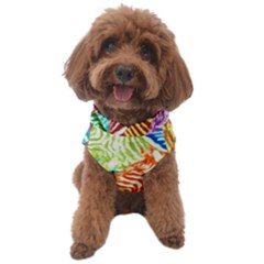 Zebra Colorful Abstract Collage Dog Sweater by Amaryn4rt