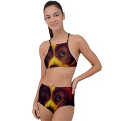 Cute 3d Dog Halter Tankini Set by Ket1n9