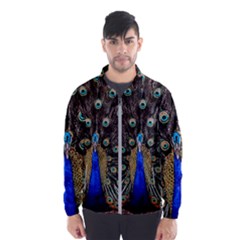 Peacock Men s Windbreaker by Ket1n9