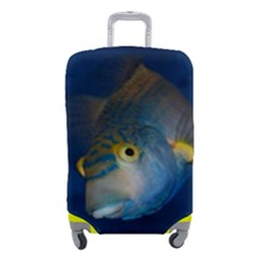 Fish Blue Animal Water Nature Luggage Cover (small) by Hannah976