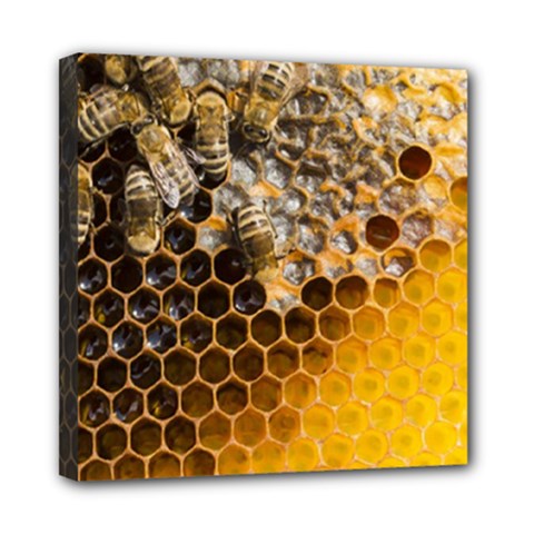 Honeycomb With Bees Mini Canvas 8  X 8  (stretched) by Bedest