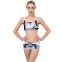 Png houed Layered Top Bikini Set View1