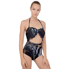 Angry Tiger Roar Scallop Top Cut Out Swimsuit by Cemarart