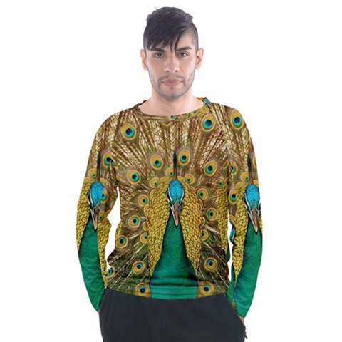 Peacock Feather Bird Peafowl Men s Long Sleeve Raglan T-shirt by Cemarart