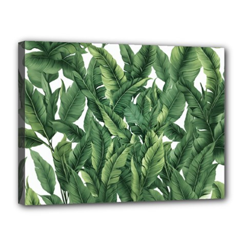 Tropical Leaves Canvas 16  X 12  (stretched) by goljakoff