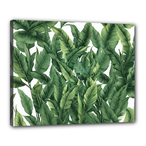 Tropical Leaves Canvas 20  X 16  (stretched) by goljakoff