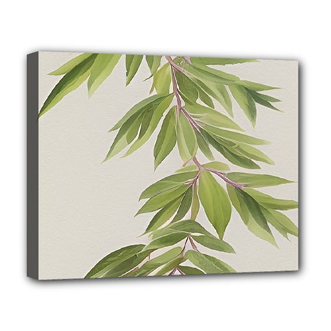 Watercolor Leaves Branch Nature Plant Growing Still Life Botanical Study Deluxe Canvas 20  X 16  (stretched) by Posterlux