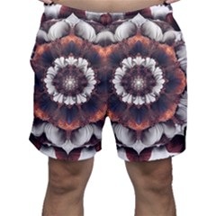 Mandala Design Pattern Men s Shorts by Maspions