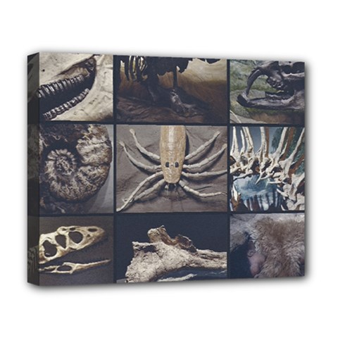 Paleontology Museum Pieces Photo Colllage Deluxe Canvas 20  X 16  (stretched) by dflcprintsclothing