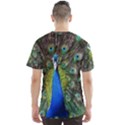 Peacock Bird Feathers Pheasant Nature Animal Texture Pattern Men s Sport Mesh T-Shirt View2