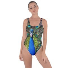 Peacock Bird Feathers Pheasant Nature Animal Texture Pattern Bring Sexy Back Swimsuit by Bedest