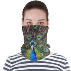 Peacock Bird Feathers Pheasant Nature Animal Texture Pattern Face Seamless Bandana (adult) by Bedest