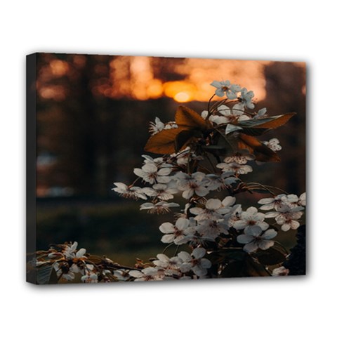 White Flower Canvas 14  X 11  (stretched) by Azkajaya